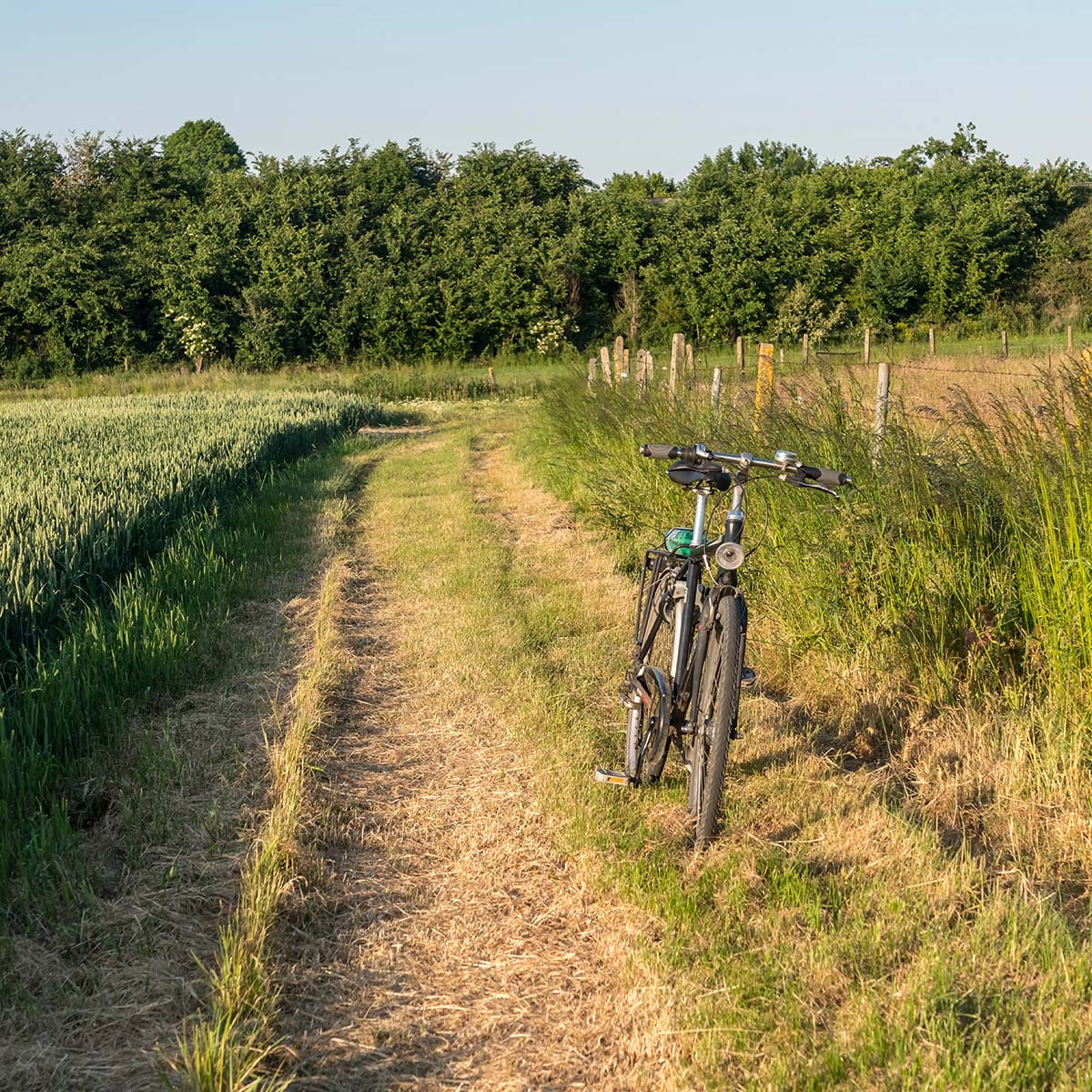 Fahrradtour bei Zeven