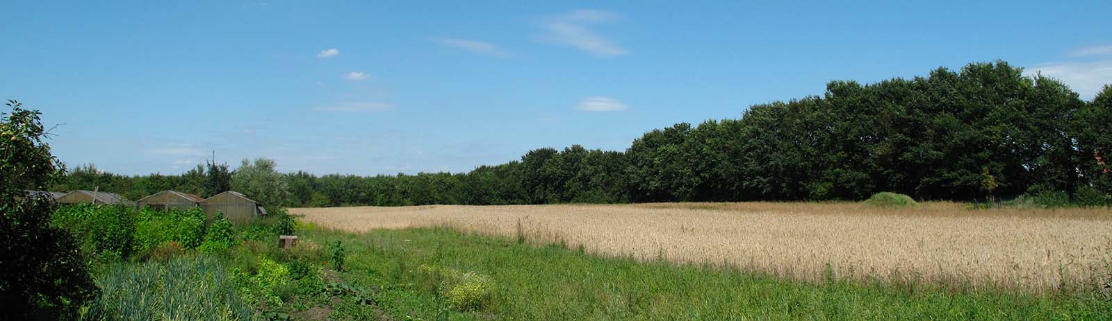 Die Felder rund um unseren Hof