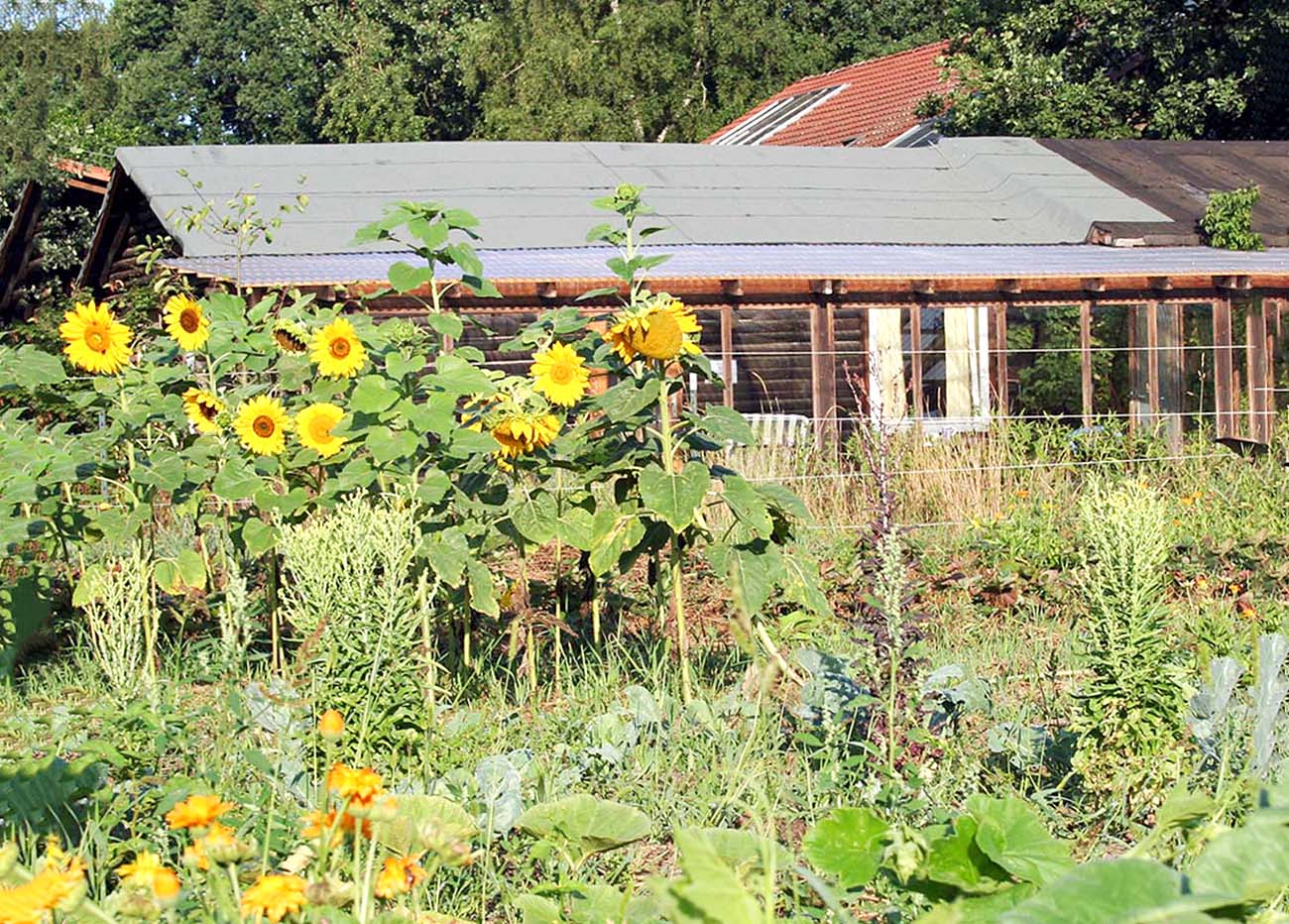 Blockhaus in Zeven – Urlaub im Holzhaus in ruhiger Lage | Hof an der Aue